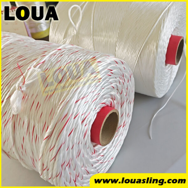 polyester twisted yarn for round sling